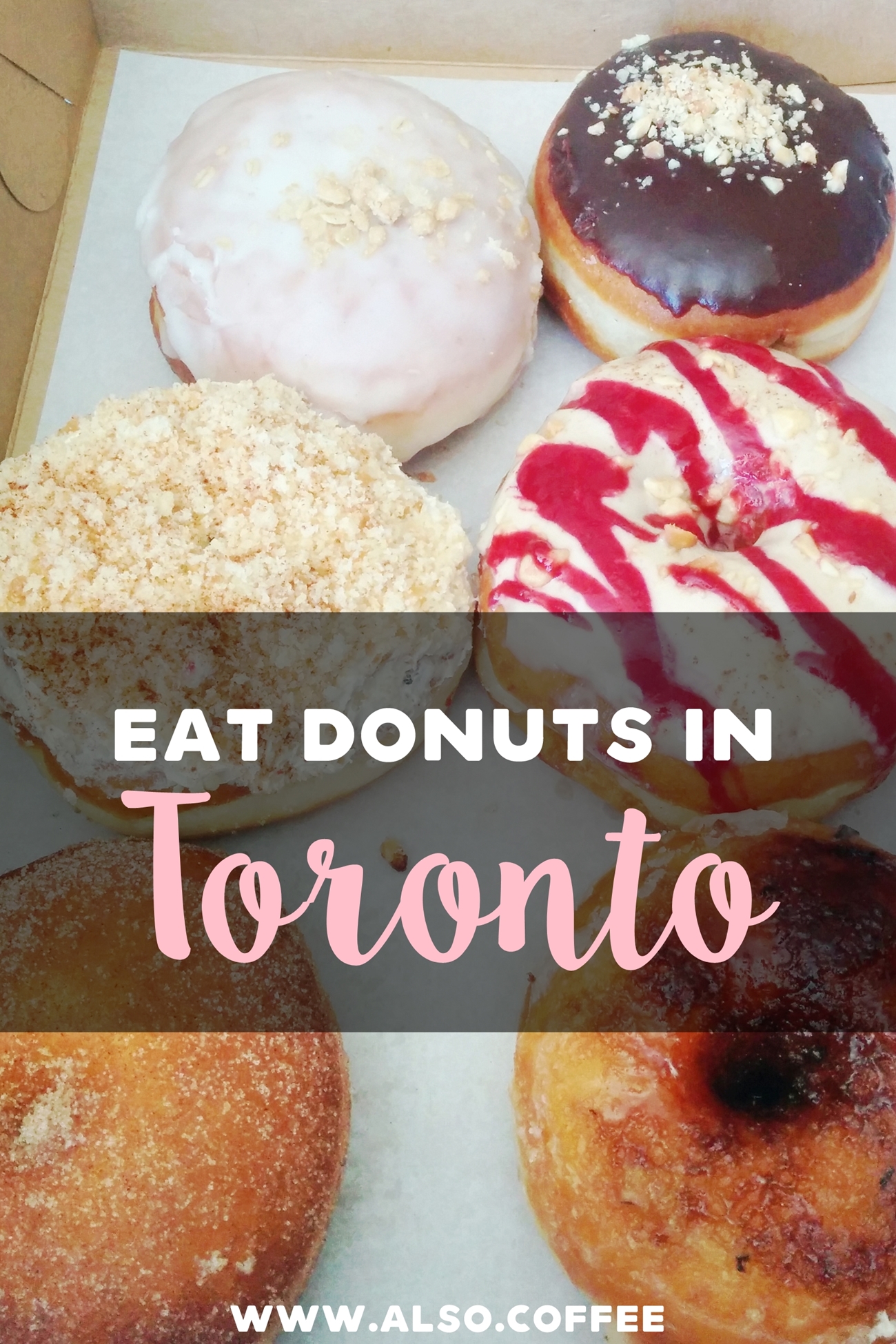 Glory Hole Doughnuts in Toronto, Canada